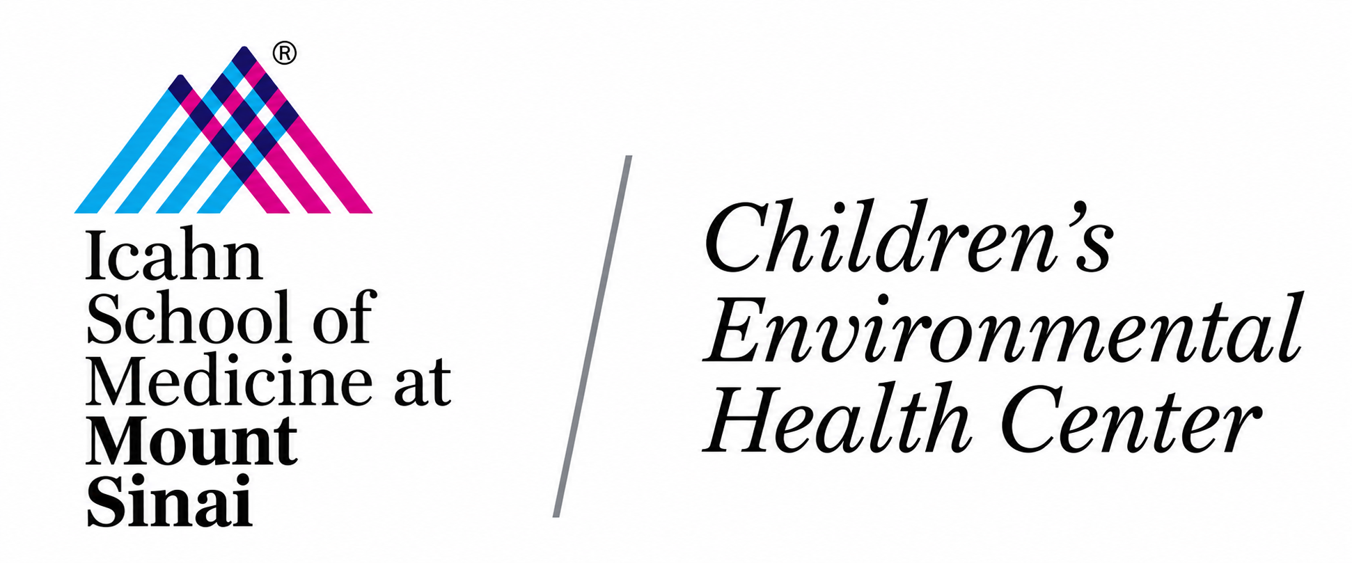 Icahn School of Medicine at Mount Sinai Children's Environmental Health Center